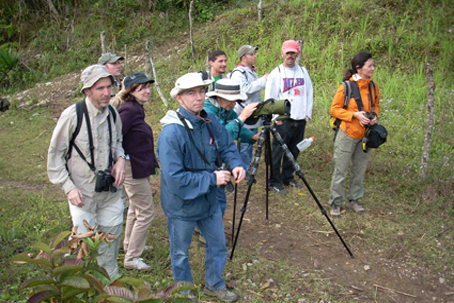 Tour interpretativo de observación de aves. Santa Bárbara, Honduras.